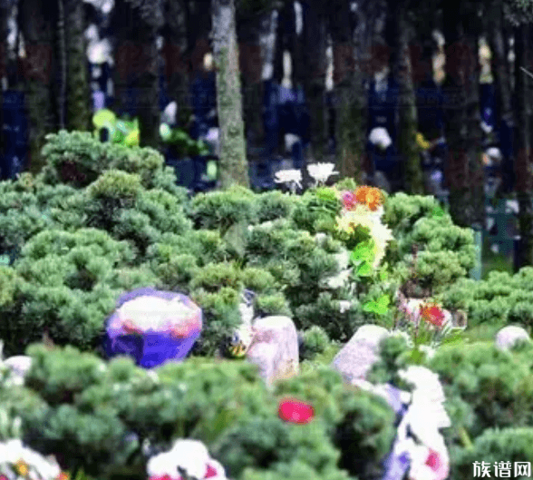 清明节扫墓祭祀一般带哪些祭品？