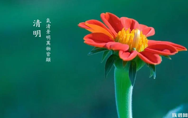 清明节南北习俗有何不同?清明节习俗大盘点。