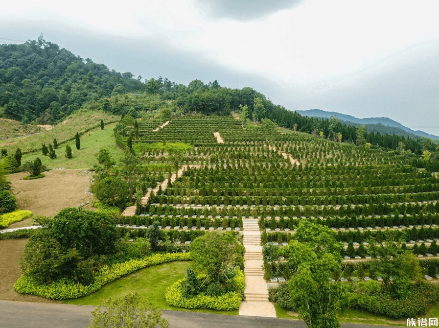 陵园的植物应该怎么配置？