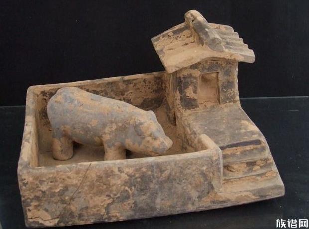 女子每天用上百斤小龙虾喂猪,古人是如何养猪的?