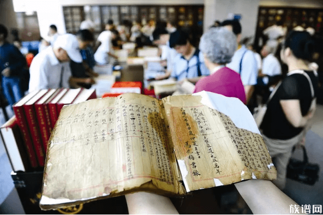 收集资料后要怎么开始修家谱呢?第二步谱系,谱系该如何编修,谱系包含哪些内容?