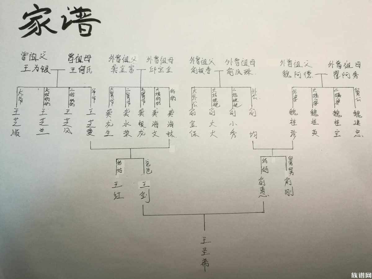 横版族谱还是竖版族谱?选择取决于需求与喜好