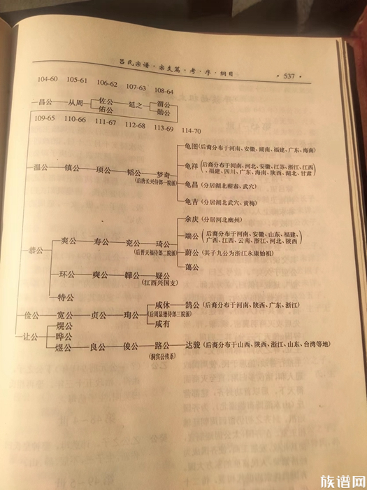 吕永兴源流考略炎帝远古世系始太祖吕尚公源流世系广济吕氏思义公沙塘祖户宗支世系