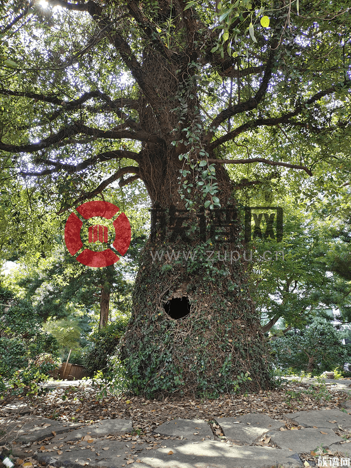 称呼常识大全|古代老百姓也可以自称“朕”,你信吗?