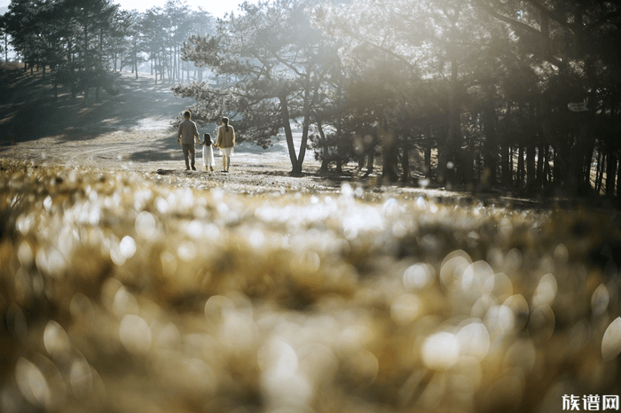 家庭教育普遍存在的误区有哪些？