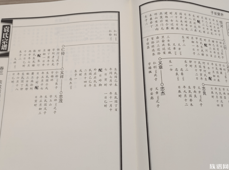 家谱世系中出现“一代单传”的情况可信吗?