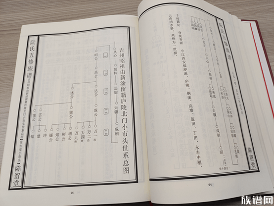 世系图表详解：构建和读懂世系图表从入门到精通指南