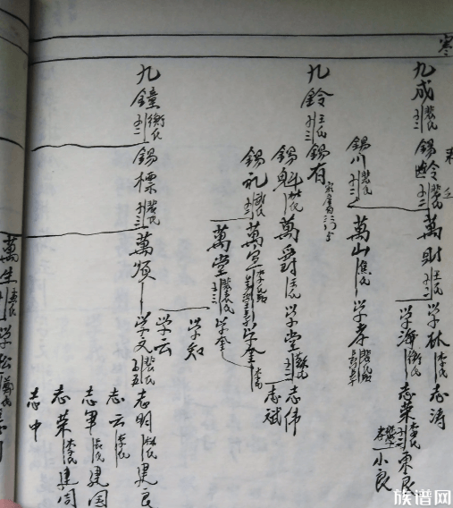 世系图表详解:构建和读懂世系图表从入门到精通指南