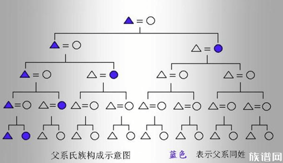 父亲有关的亲属，父系亲属称谓，家族文化变迁