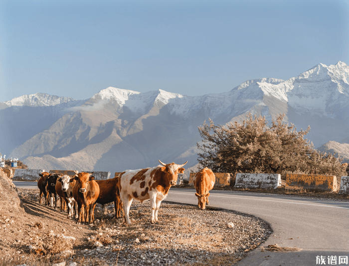 伏羲氏是不是开创肉食的食祖?