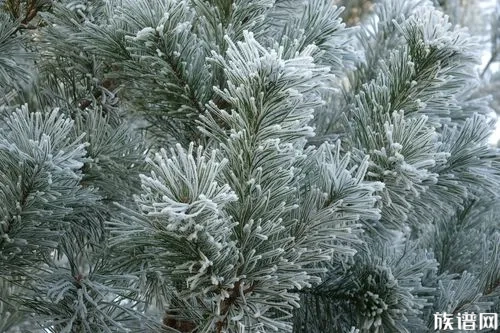 霜降节气，请注意保暖