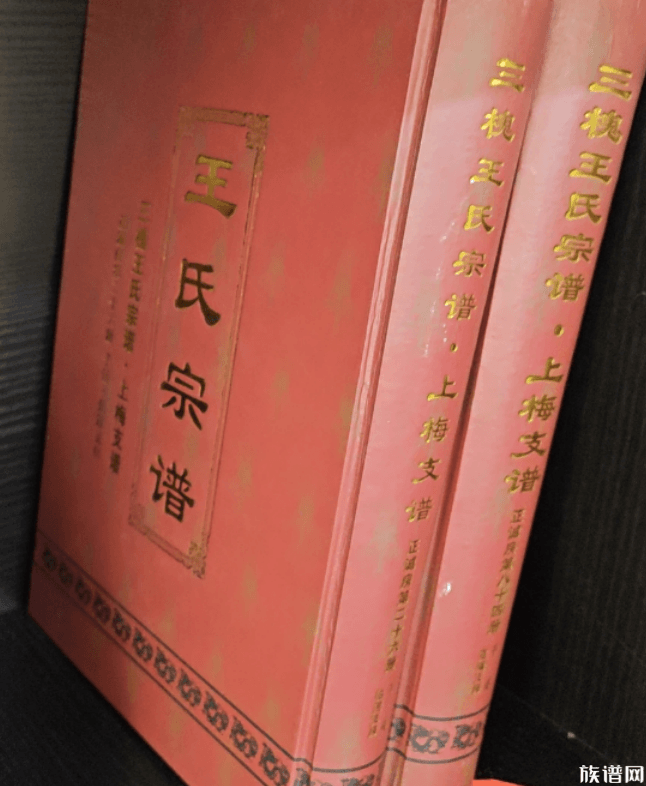典籍记载与家谱名字有差异？那谱名意义在哪?