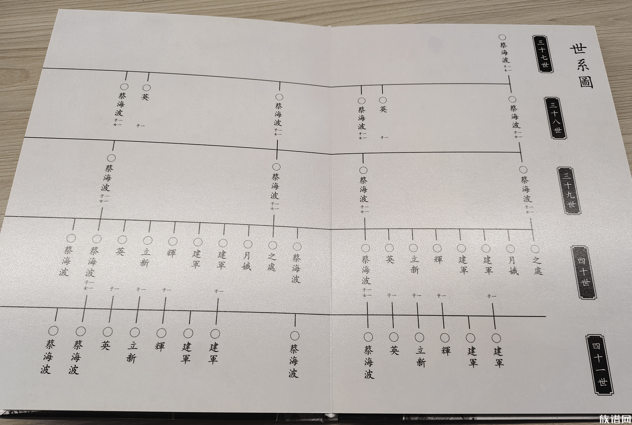 世系图表记载方式,世系图表体例格式