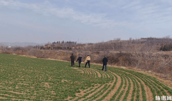 族谱网关注中华周姓祖根地文化园建设