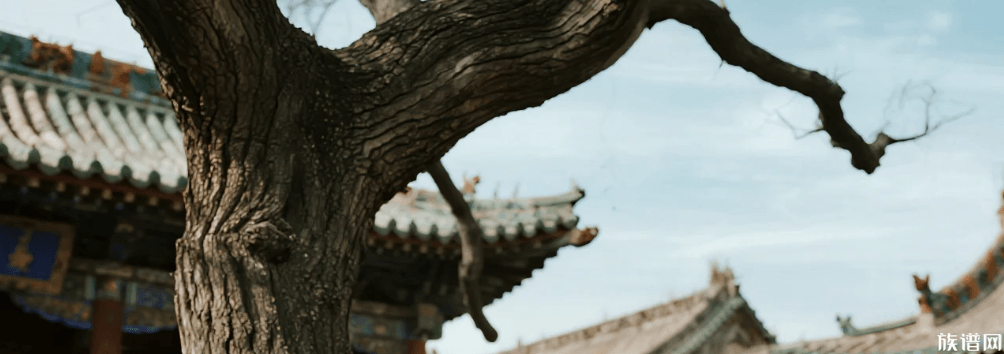 南北修谱习俗大观：从家谱看湖广填四川与客家迁徙的异同