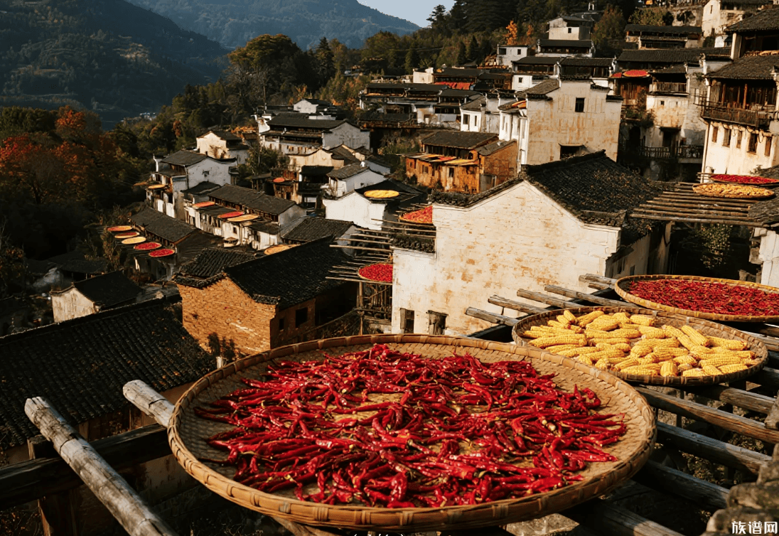 立秋至万物收：咬住盛夏的尾巴晒秋、咬秋、贴秋膘