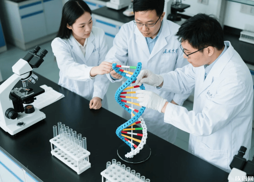 “攀附名人”现象： 古今皆有，如何理性看待家谱中的始祖记载？