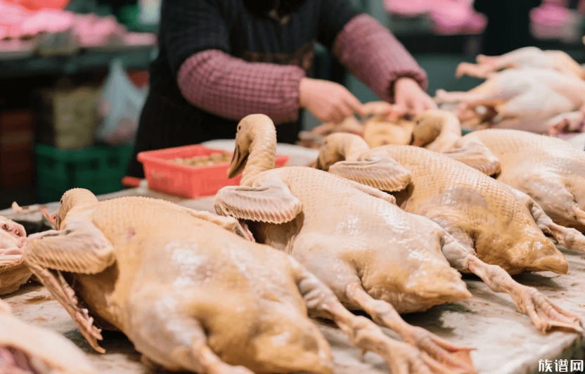 今日出伏：暑尽秋来一碗面、一锅汤，解锁出伏传统浪漫