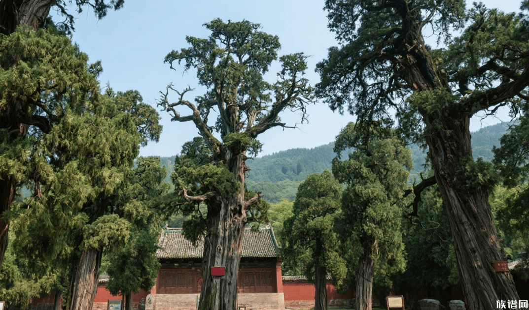 疑冢传说终破!诸葛亮陵墓的真实坐标