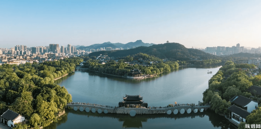 从137个姓氏到一座城!长沙这场研讨会让族谱“活”起来