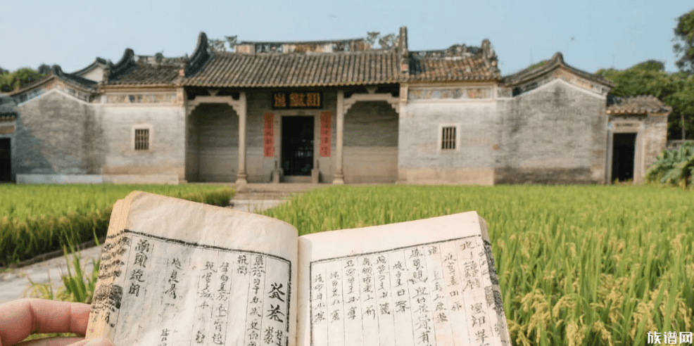 族谱里的“隐藏彩蛋”：除了世系表，还藏着哪些家族秘密？