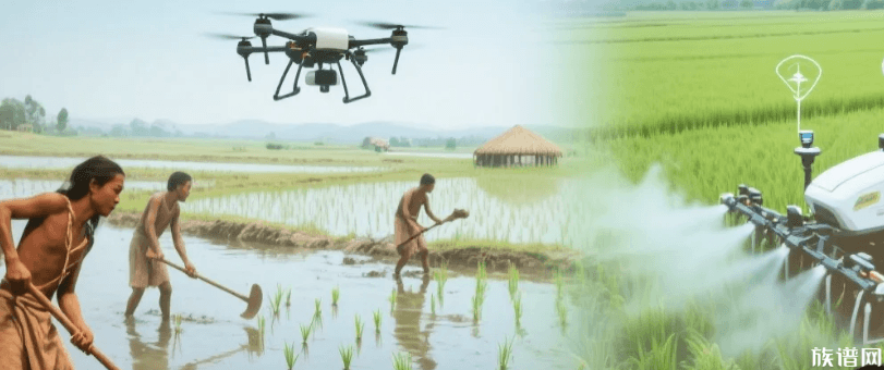 河姆渡立春特展:全息穿越7000年农耕文明,从骨耜到无人农机