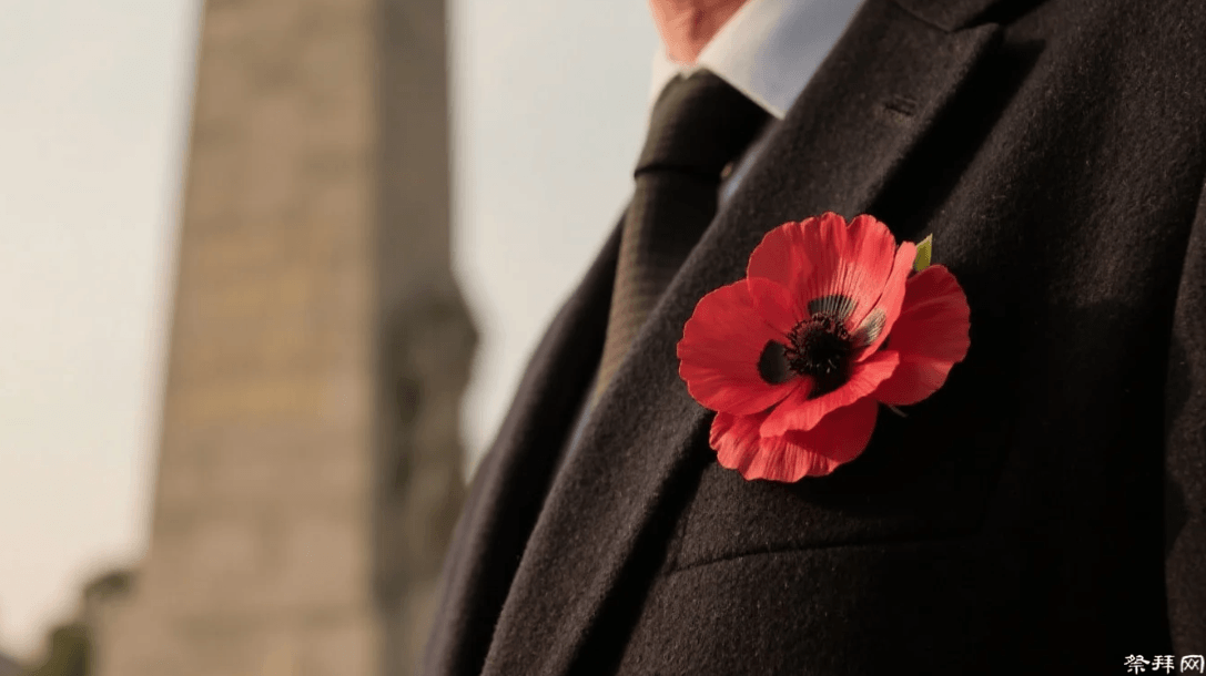 英国“阵亡将士纪念日”的罂粟花纪念传统