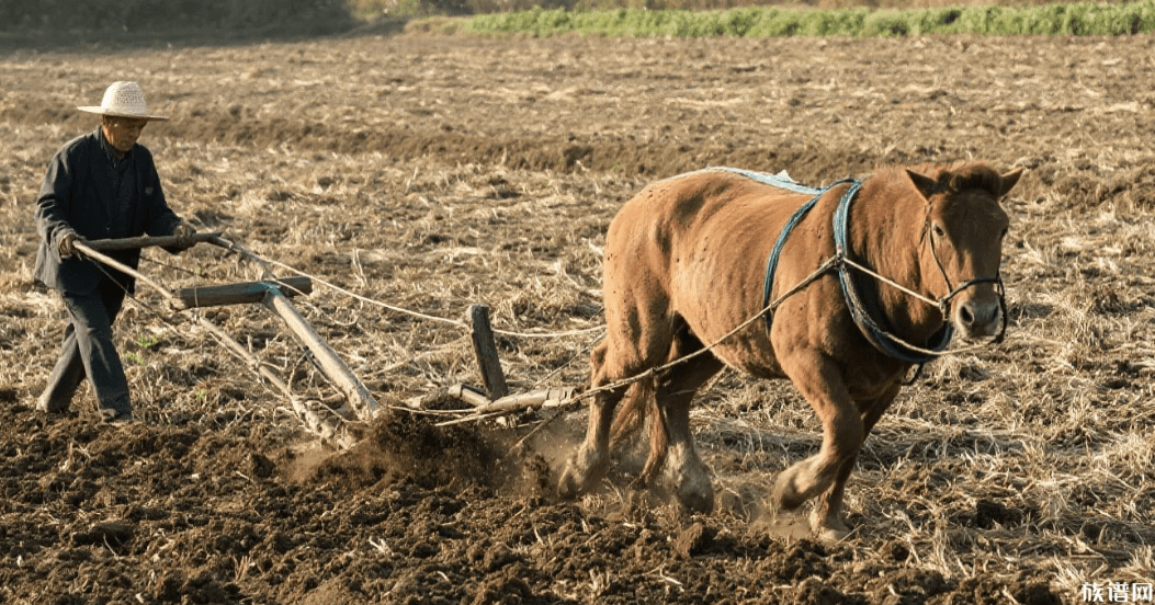 从耒耜到农机：中国农耕器具 3000 年进化图谱