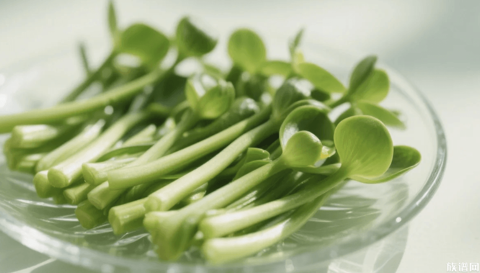 舌尖上的诗经：参差荇菜、采采芣苢，真的能吃吗？