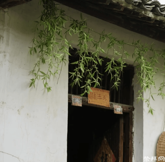 清明不戴柳红颜成皓首:古人为何把柳枝当“护身符”?