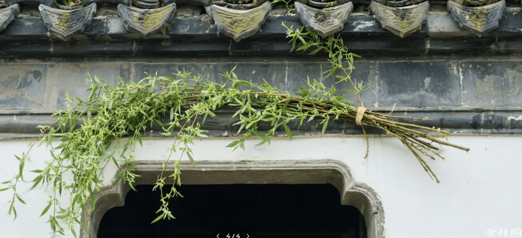 清明不戴柳红颜成皓首:古人为何把柳枝当“护身符”?