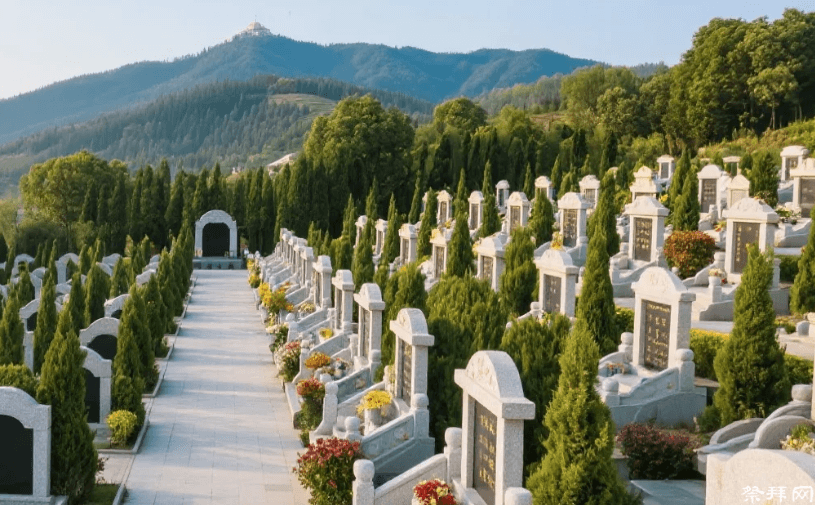 墓地涨价为何海葬、树葬等生态葬法依然难推广