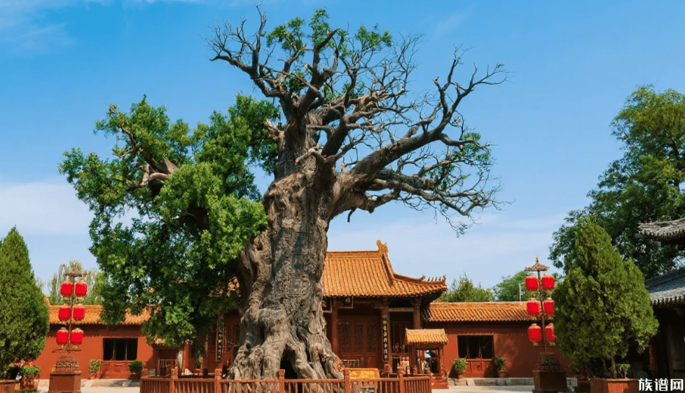 如果祖先没在“洪洞大槐树”歇脚，我们是不是就不算老乡了？