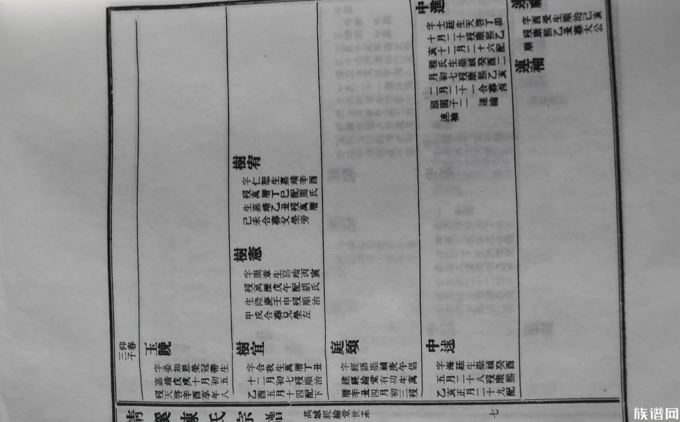 只生不养,入谱,族谱