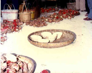 傩文化—傩俗崇拜—广西仫佬族的“依饭节”