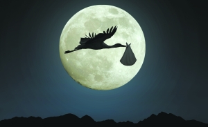 蒲松龄笔下的“动物世界”