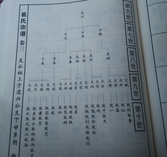 族人集资捐建,百年易氏宗祠重现昔日光辉-族谱网