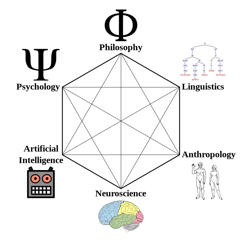 认知神经科学