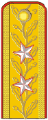 少将