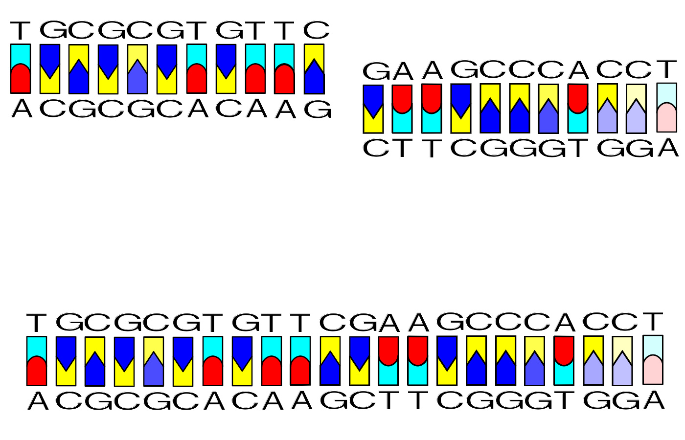 重组DNA