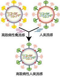 病毒