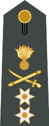 少将