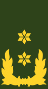 少将