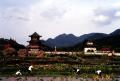 东林寺