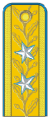 少将