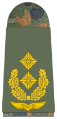 少将