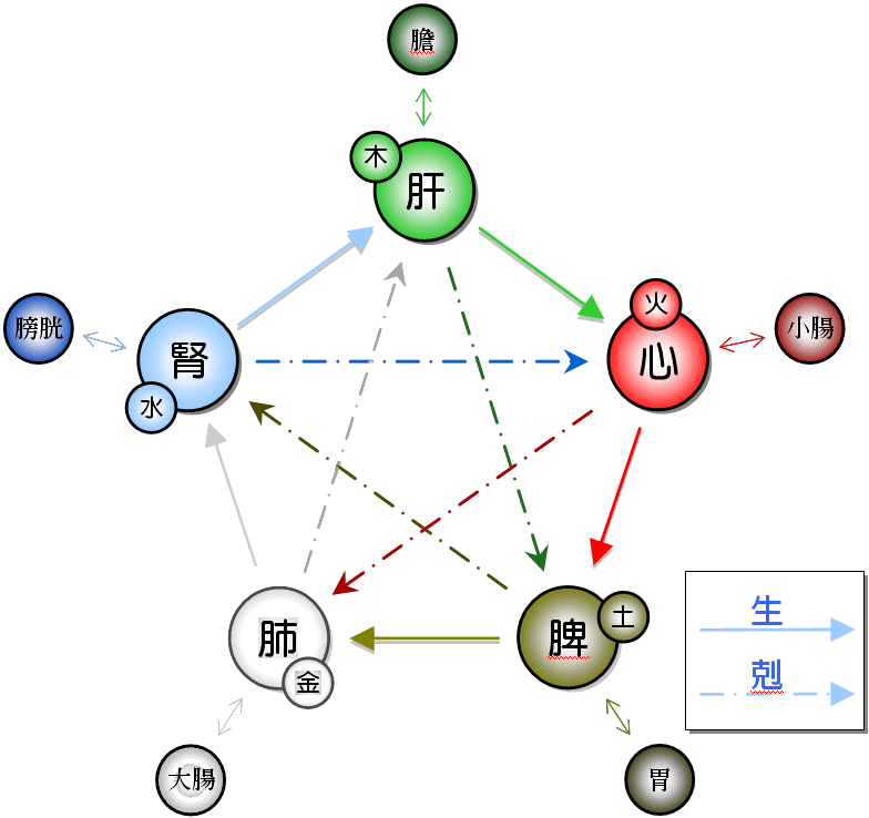 中医学