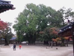 成均馆大学