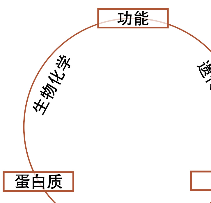 分子生物学