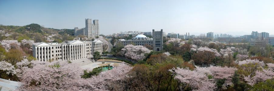 庆熙大学